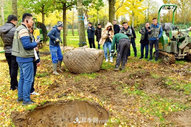 牛气的苗圃背后“套路”都很深(图2)