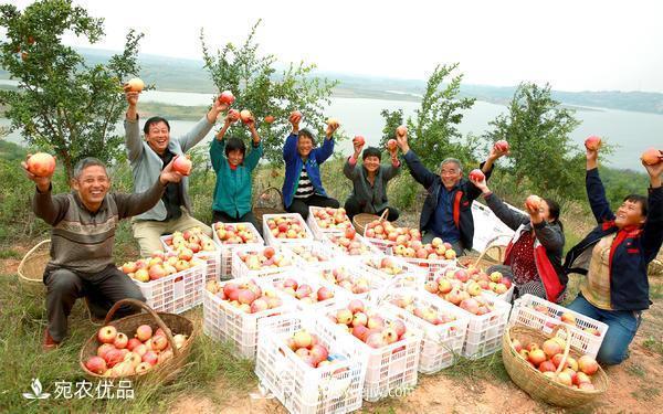 南水北调软籽石榴丰收节 春华秋实绘淅川县生态致富美景(图1)