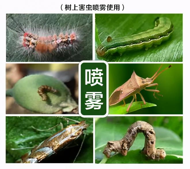 8种花木常用农药介绍，价格便宜效果很好(图3)