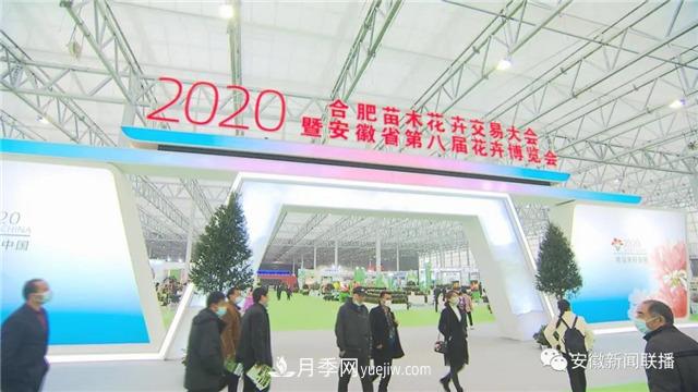 2600多种精品苗木花卉亮相2020合肥苗交会(图1)