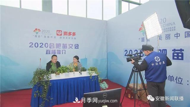 2600多种精品苗木花卉亮相2020合肥苗交会(图3)