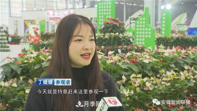 2600多种精品苗木花卉亮相2020合肥苗交会(图2)