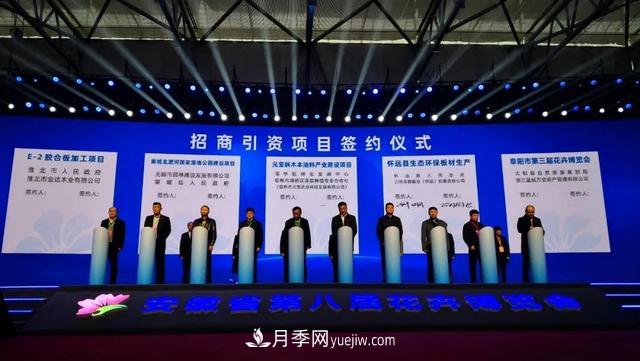 2020合肥苗木花卉交易大会 首次实现“云上办展”(图2)