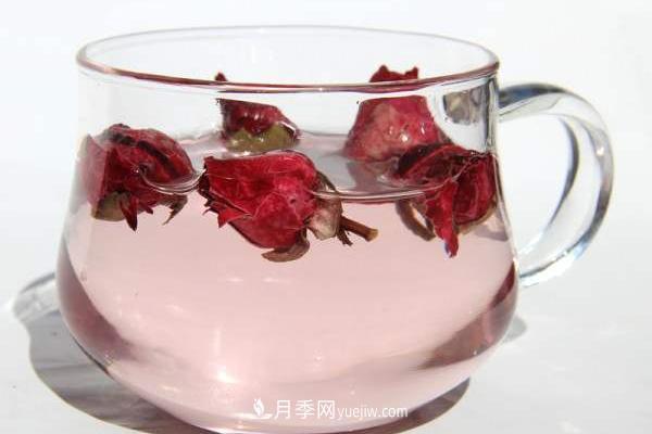 月季花茶是凉性的吗 经期可以喝月季花茶吗(图3)