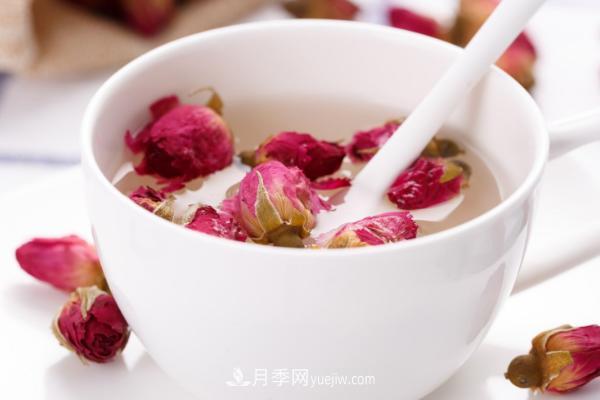 月季花茶是凉性的吗 经期可以喝月季花茶吗(图1)