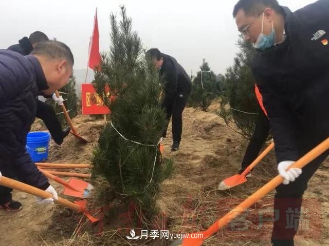 为冬日添新绿！南阳市开展千人义务植树活动(图1)