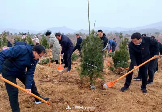 南阳市卧龙区：千人同植树 共建生态林(图1)