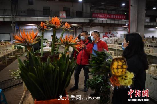 昆明斗南“亚洲花都”健步迈向世界花卉产业中心(图1)