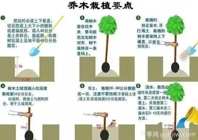 秋冬季园林植物养护技术要点(图2)