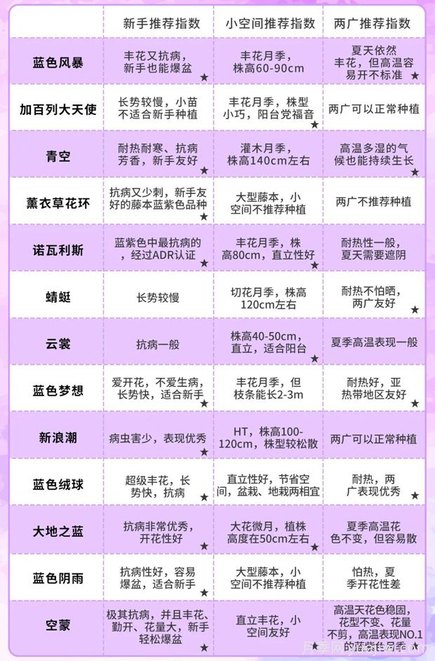 令人无法抗拒的蓝色月季品种合集(图9)