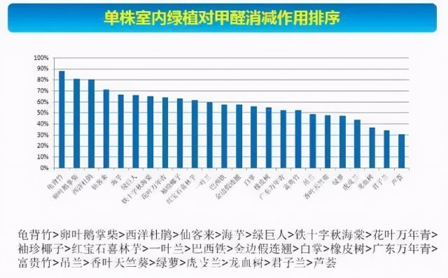 24种花卉，除甲醛净化空气哪个植物厉害，龟背竹排首位(图1)