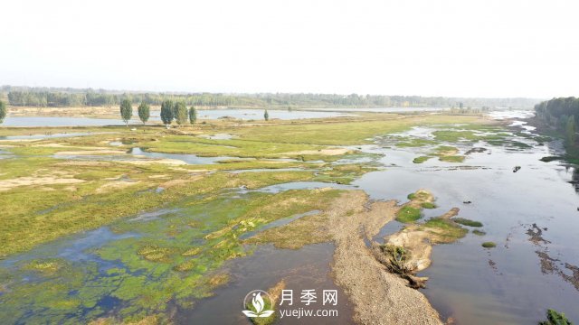 南阳市：保护湿地 你我同行(图1)