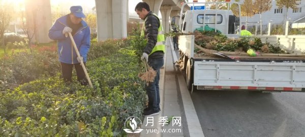 郑州计划打造37公里鲜花高架桥(图2)