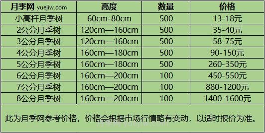 1-10公分月季树价格是多少？树状月季5月报价单！(图1)