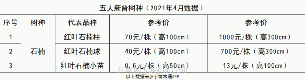 春季***近一个月成交量***高的十大苗木排行榜(图4)