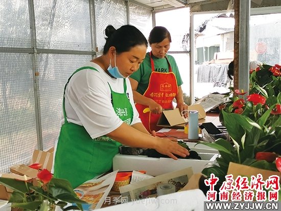 永城市高庄镇发展花卉苗木产业 年产值亿元以上(图1)