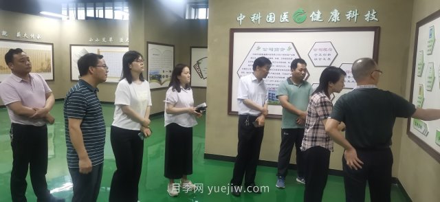 河南省林业局到桐柏县调研艾草产业(图1)