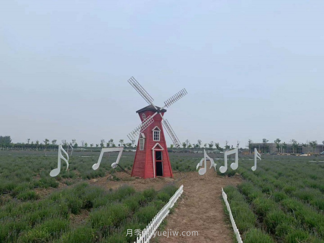 聊城芳香文化博览园，乡村振兴巾帼示范基地(图3)