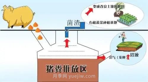 中国生态农业的主要模式(图2)