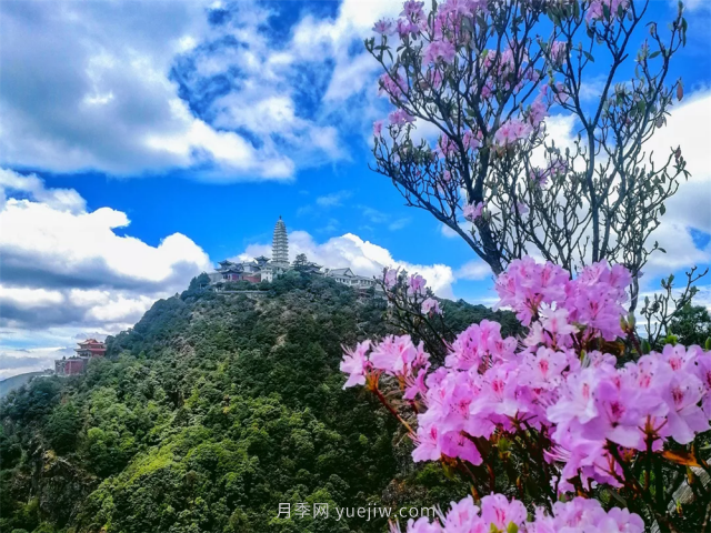 七月，邂逅大理鸡足山极致风光！(图1)