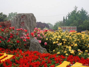 商业区绿化景观设计和植物运用