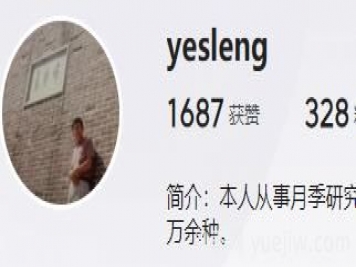 月季自媒体：yesleng