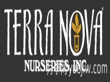 月季育种家：美国特拉诺瓦苗圃(Terra Nova)