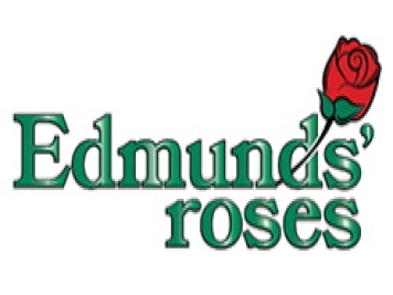 月季育种家：美国Edmunds' Roses(埃德蒙兹月季园)