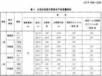 月季苗的质量行业标准