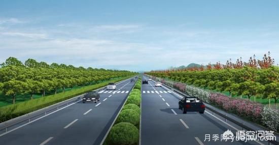 道路绿化苗木一般有哪些？(图4)