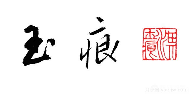 藤本月季的优缺点是什么？有哪些？(图4)