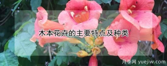 木本花卉的主要特点及种类(图1)